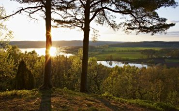 Bild på en kulle med två träd med en sjö och skog i bakgrunden. solnedgång.