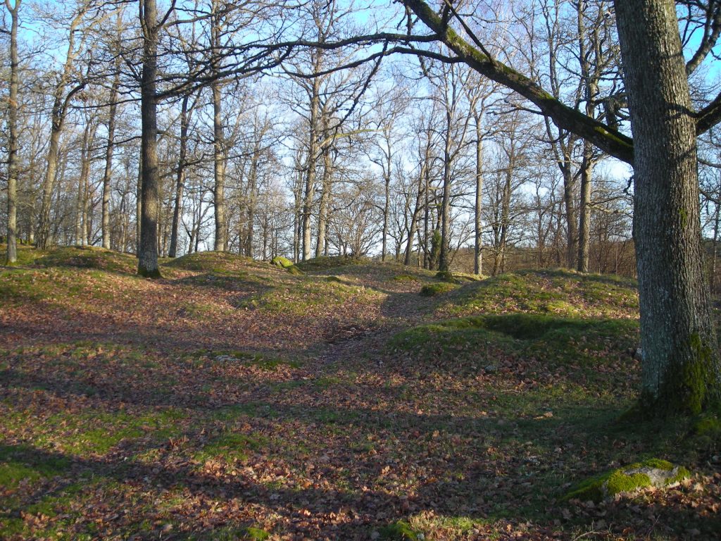 Kummeliberg gravfält. Foto: Lisa Mårtensson