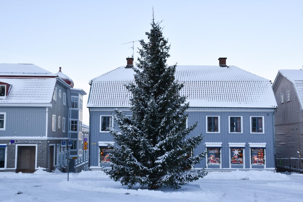 Stor gran på Stora torget i Ulricehamn.