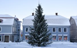 Stor gran på Stora torget i Ulricehamn.